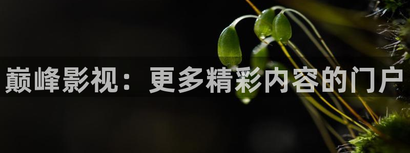 霸影倫理影院