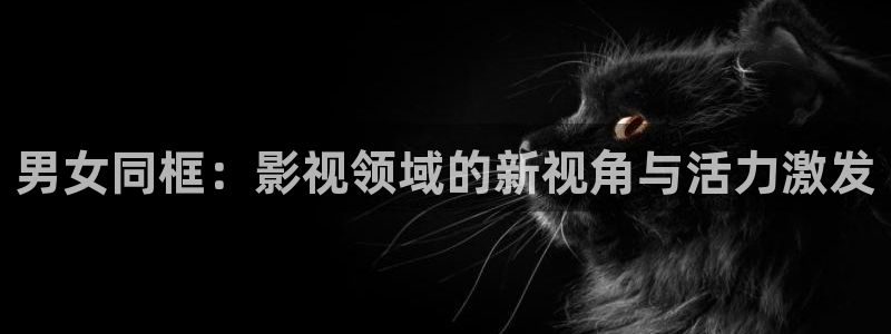四虎倫理影院：男女同框：影視領域的新視角與活力激發